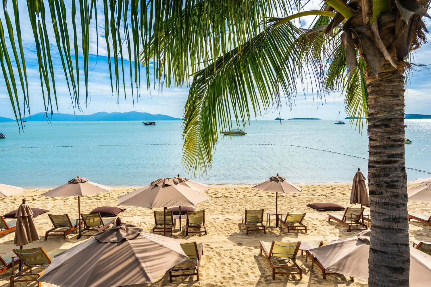 How to Fill a Hotel in 2026 | Hotel Marketing Strategies