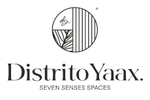 Distrito yaxx cliente marketing