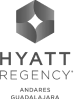 Hyatt Marketing