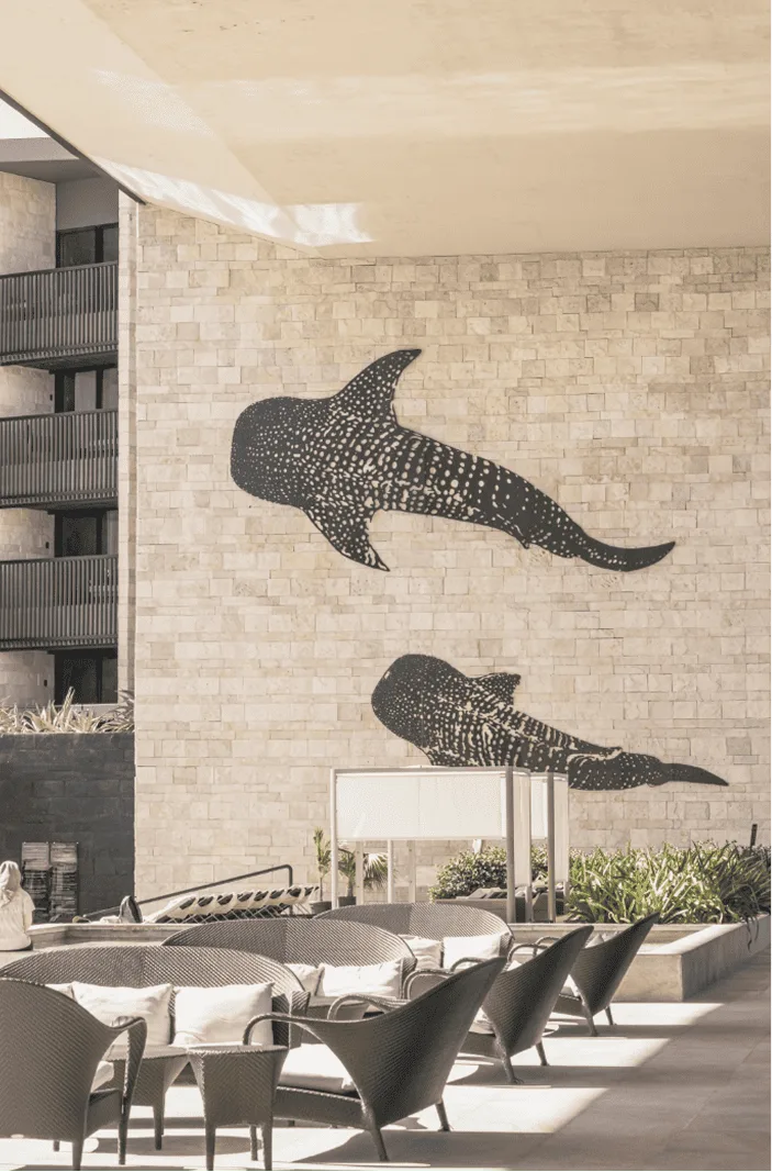 Foto hyatt por BWE AGENCY