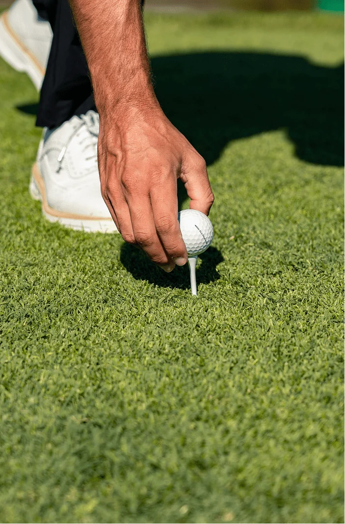 Foto hyatt por BWE AGENCY