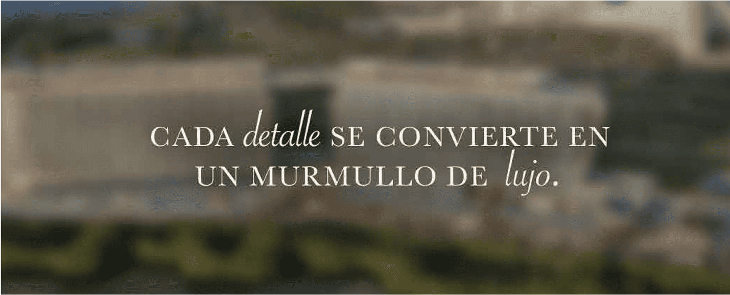 Gestión de marca por BWE Agency en Cancún