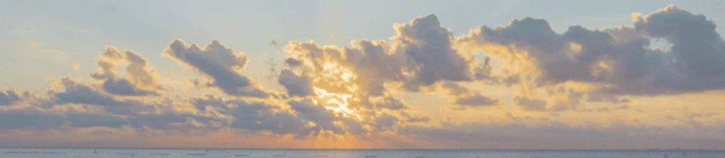 Agencia de desarrollo web - BWE Agency