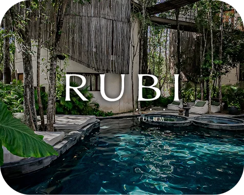 Agencia de desarrollo web - BWE Agency