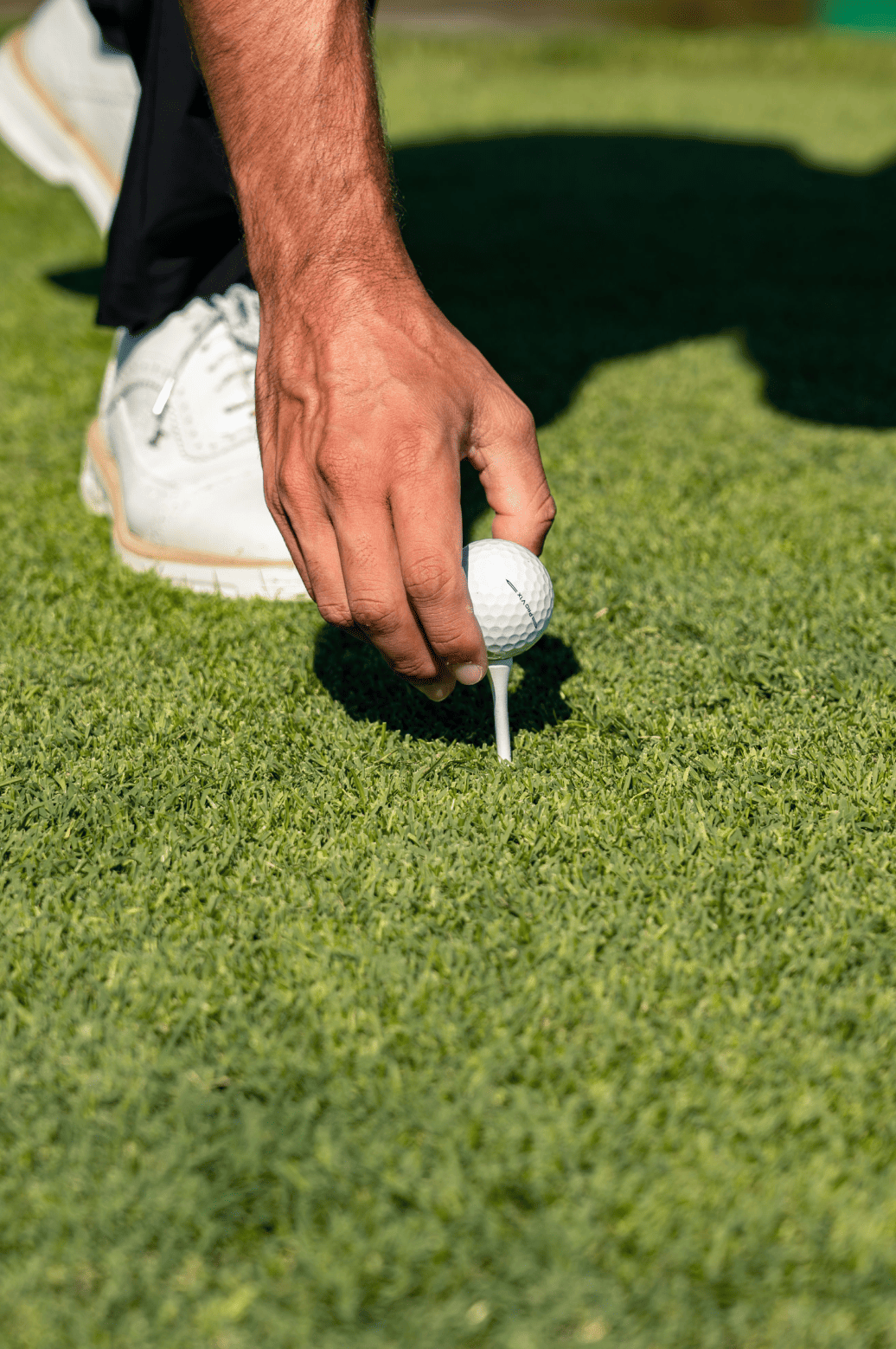 Fotografía Bay View Grand, Cancún, México
