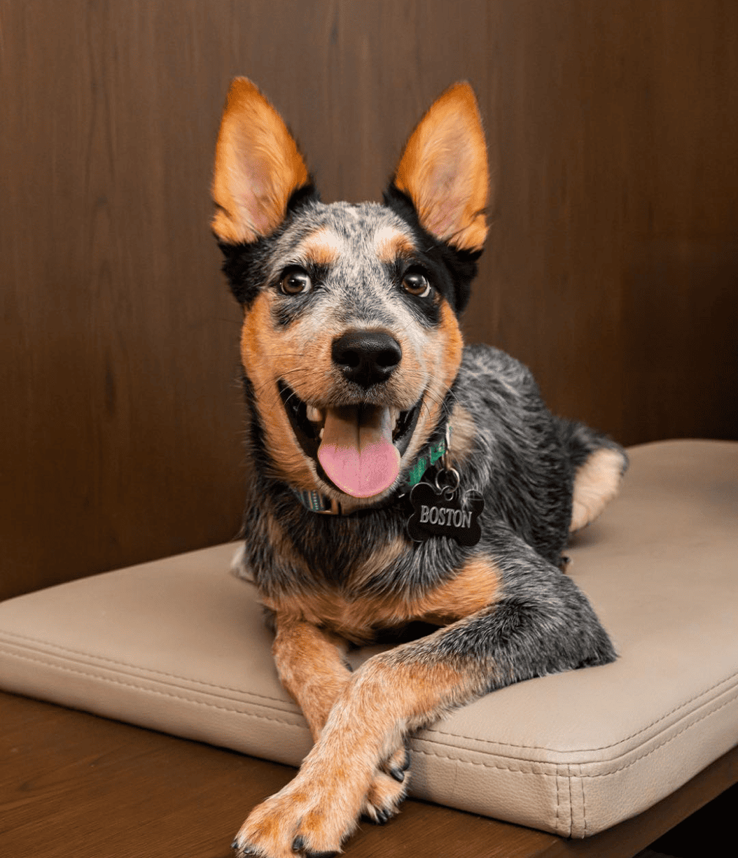 Fotografía Hyatt Regency, Guadalajara, México