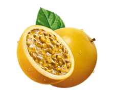 Fotografía Kunko, Cancún, México