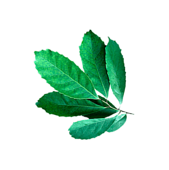 Fotografía Kunko, Cancún, México