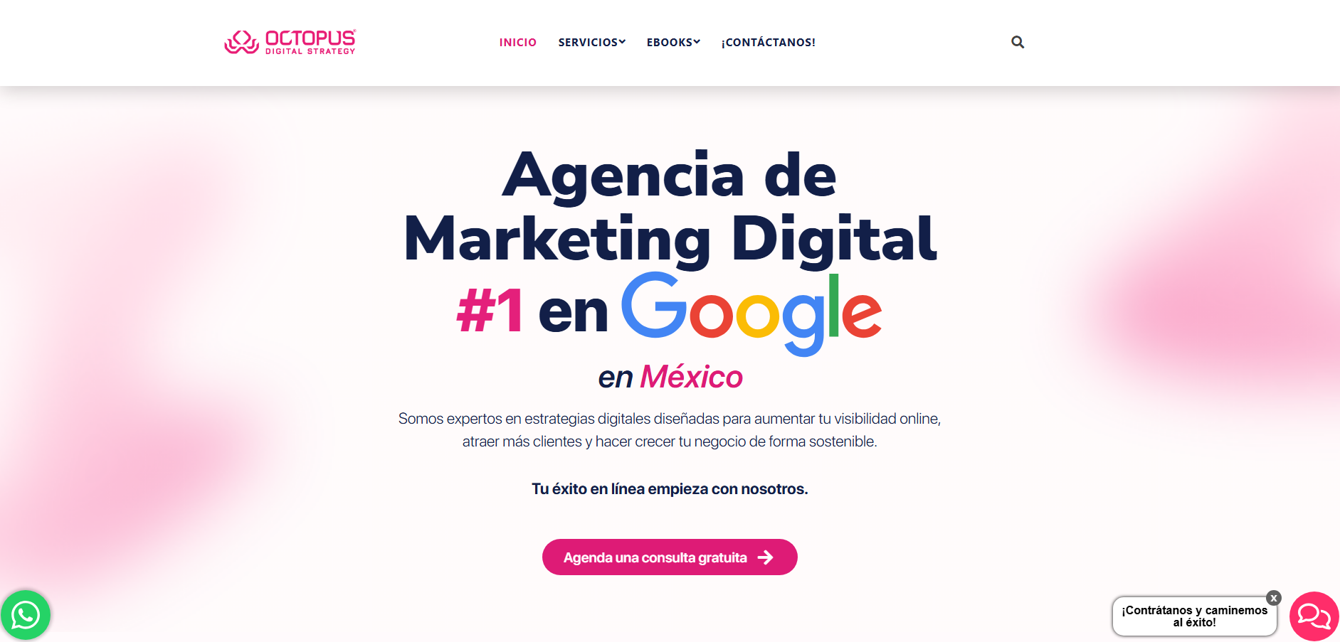 Octopus-agencia-de-marketing.png