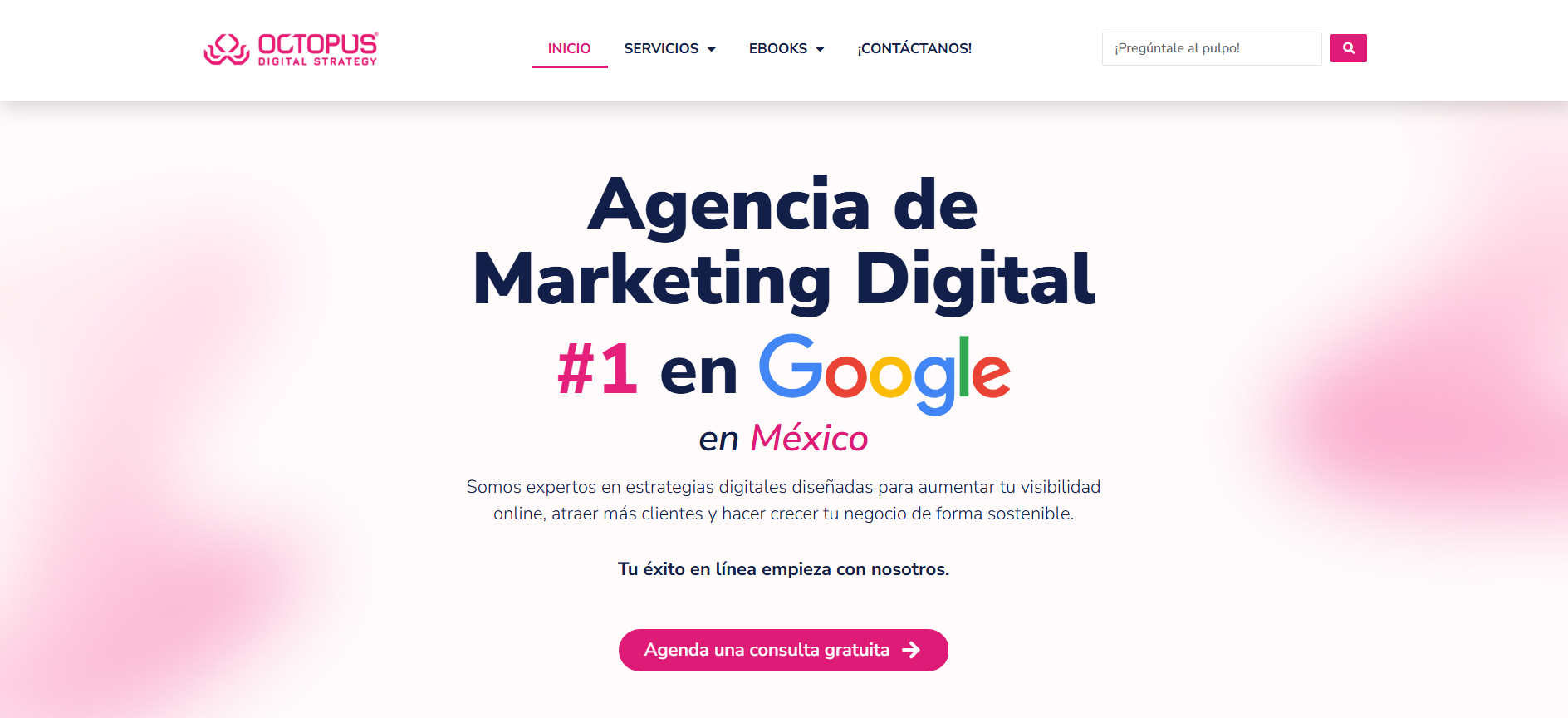 octopus-agencia-de-marketing.png